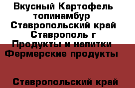 Вкусный Картофель, топинамбур - Ставропольский край, Ставрополь г. Продукты и напитки » Фермерские продукты   . Ставропольский край